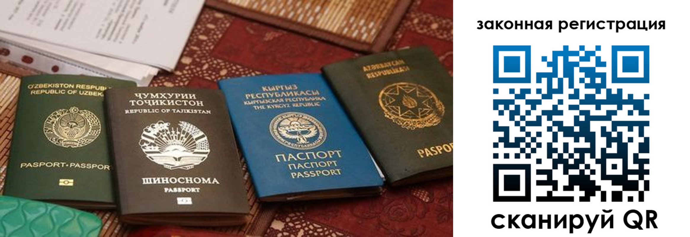пропишу в квартире в Вышнем Волочке